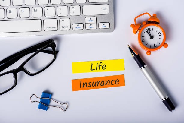 Average Life Insurance Policy Payout